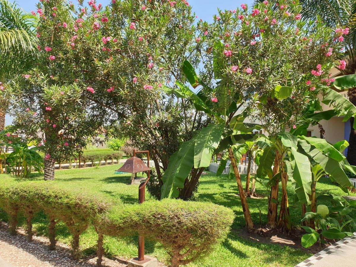 Djeliba Resort Serrekunda Exterior photo